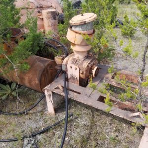 Old machinery surrounded by overgrown plants.