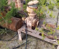 Old machinery surrounded by overgrown plants.